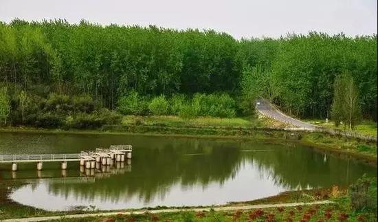超绿色长廊风景大道 滁州江淮分水岭*风景道